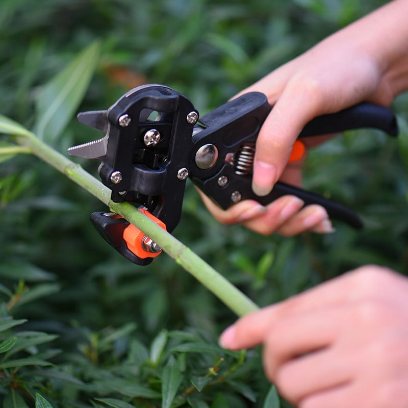 GraftPro Cutting Tool | Professional Grafting Shears - Hartwella