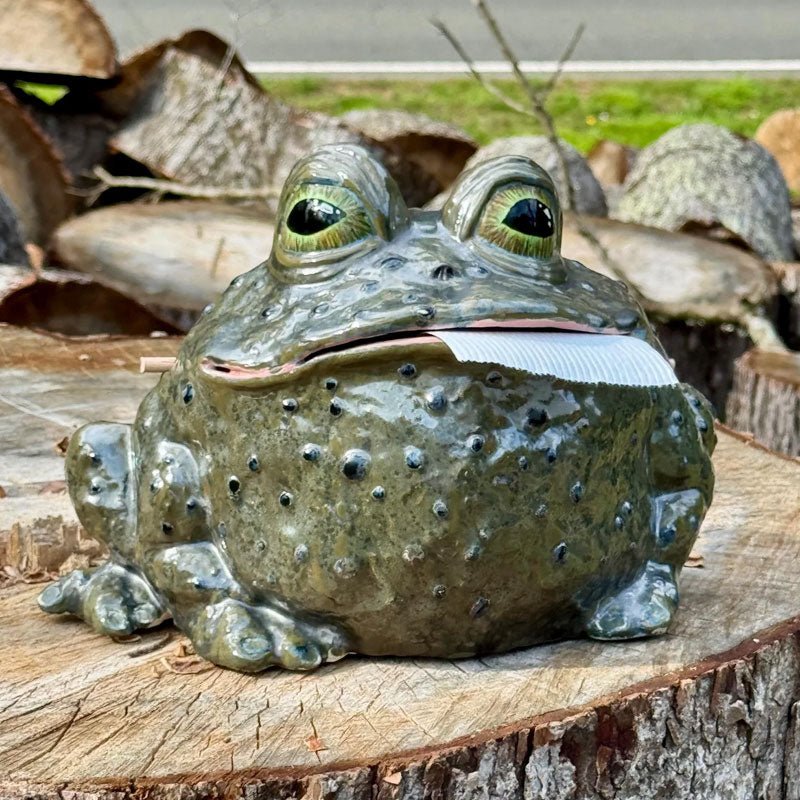 Toady Tissue Holder | Unique Toad Design - Hartwella