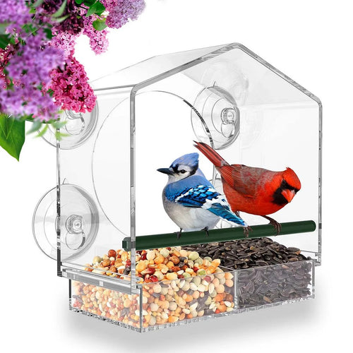 Breezy Bird Feeder | Window-Mounted, Clear Acrylic 0