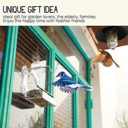 Breezy Bird Feeder | Window-Mounted, Clear Acrylic 4