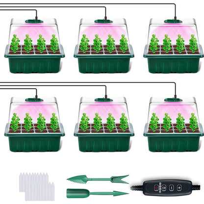 Seda Seed Starter Tray | Grow Light Included 10