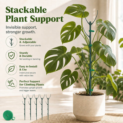 Syla Plant Support | Stackable Tomato Trellis for Climbing Plants 0