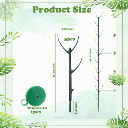 Syla Plant Support | Stackable Tomato Trellis for Climbing Plants 1