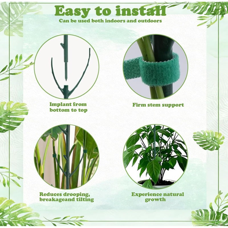 Syla Plant Support | Stackable Tomato Trellis for Climbing Plants 2