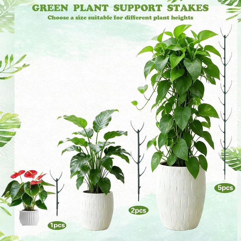 Syla Plant Support | Stackable Tomato Trellis for Climbing Plants 3