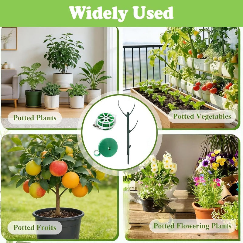 Syla Plant Support | Stackable Tomato Trellis for Climbing Plants 6