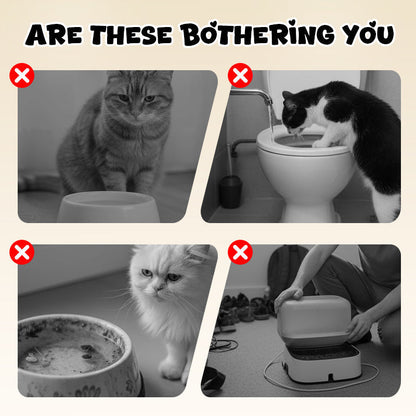 Whimsy Cat Bowl | Wall-Mounted Toilet Design, Stainless Steel 2