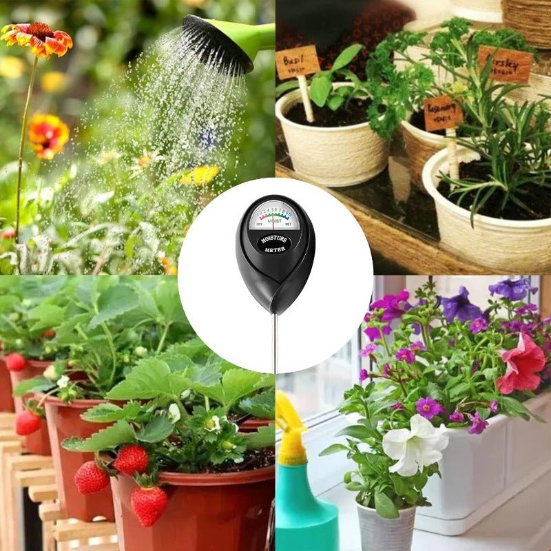 Bene Soil Moisture Meter | Battery-Free, Easy to Use, For Plants - Hartwella