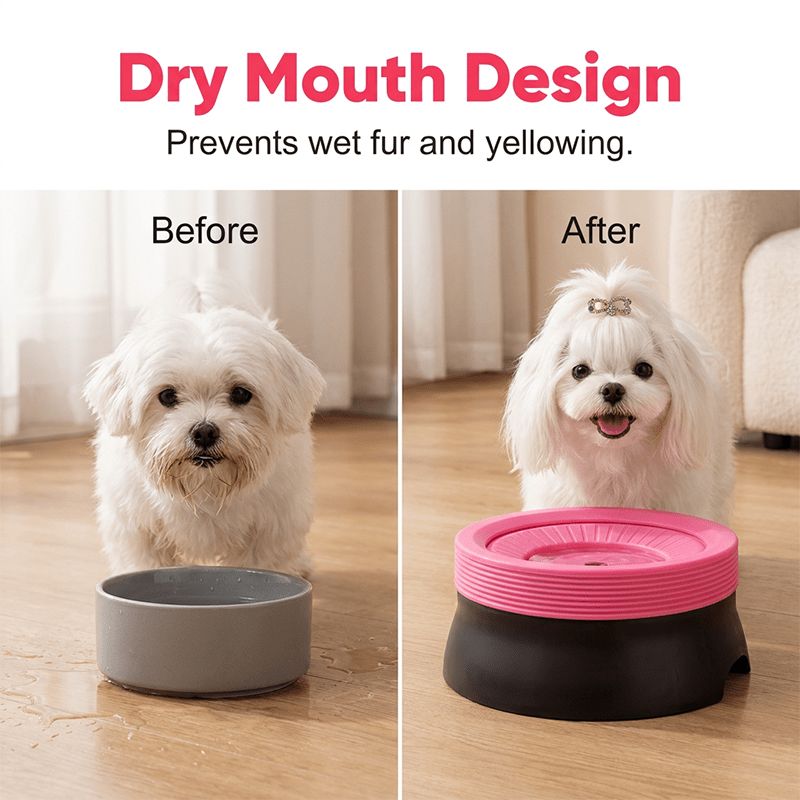 Blyss Floating Dog Water Bowl | No Spill, Anti-Slip, 600ML Capacity for Dogs and Cats - Hartwella