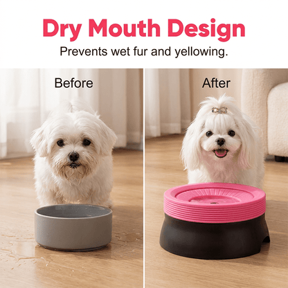 Blyss Floating Dog Water Bowl | No Spill, Anti-Slip, 600ML Capacity for Dogs and Cats - Hartwella