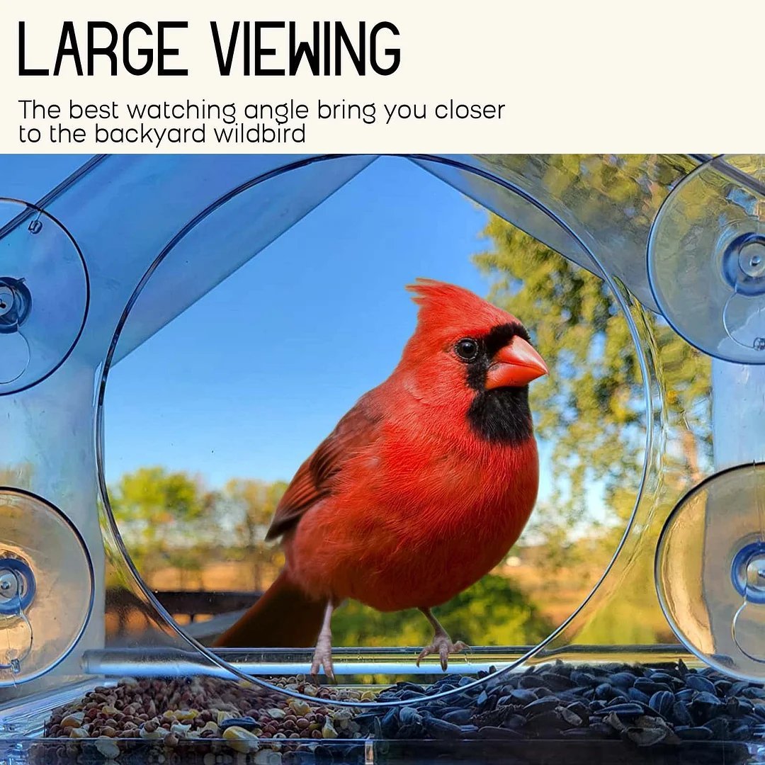 Breezy Bird Feeder | Window-Mounted, Clear Acrylic - Hartwella