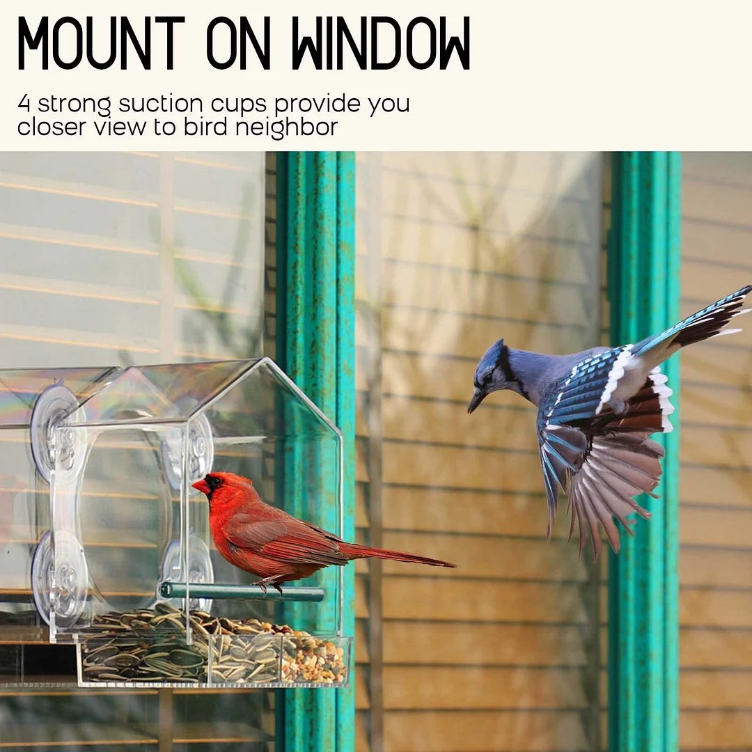 Breezy Bird Feeder | Window-Mounted, Clear Acrylic - Hartwella