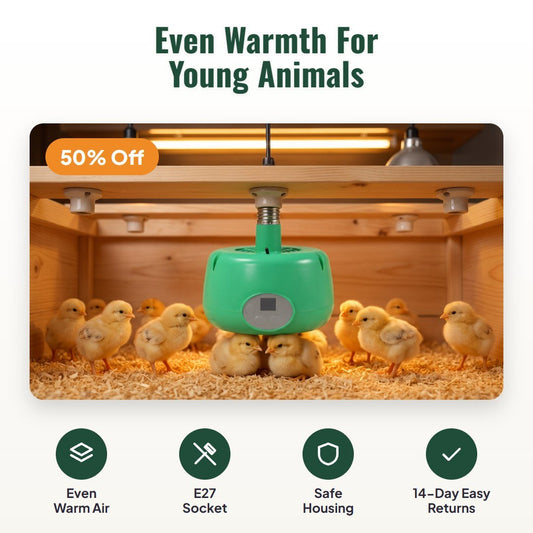 Brovia™ Temperature Control Brooder Heater - Hartwella