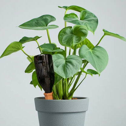 CeraSoak Plant Watering Spikes | Eco-Friendly Ceramic, 4-Pack - Hartwella