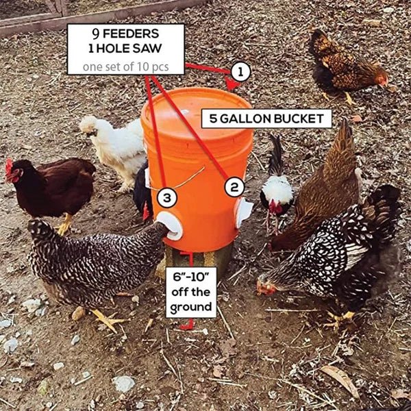 Clever Chicken Feeder | Weatherproof, Adjustable Poultry Feeder - Hartwella