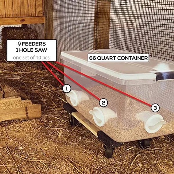 Clever Chicken Feeder | Weatherproof, Adjustable Poultry Feeder - Hartwella