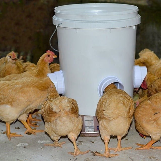 Clever Chicken Feeder | Weatherproof, Adjustable Poultry Feeder - Hartwella