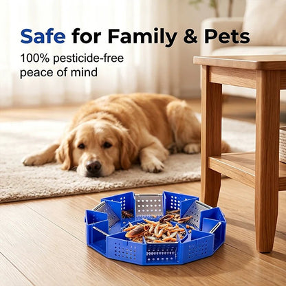 Creston Six-Door Cockroach Trap | Non-Toxic, Physical Pest Control - Hartwella