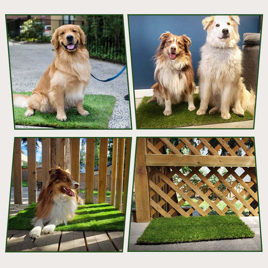Dapper Dog Turf | Indoor Potty Solution, Easy Clean Grass Pee Pads - Hartwella