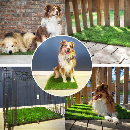 Dapper Dog Turf | Indoor Potty Solution, Easy Clean Grass Pee Pads - Hartwella