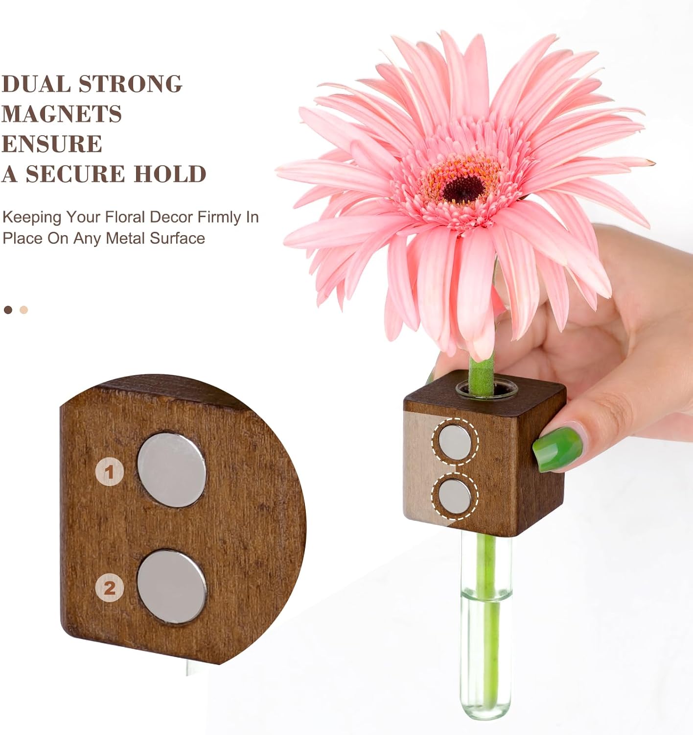 Flora Magnetic Flower Vase | Eco - Friendly Wood, Tool - Free Installation - Hartwella