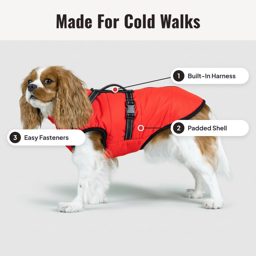 Pawcoat™ 3-in-1 Dog Winter Jacket