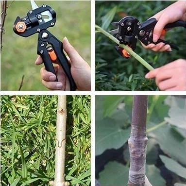 GraftPro Cutting Tool | Professional Grafting Shears - Hartwella