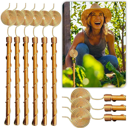 Grove Electroculture Stake | Pure Copper, Weather Resistant, Easy Installation - Hartwella