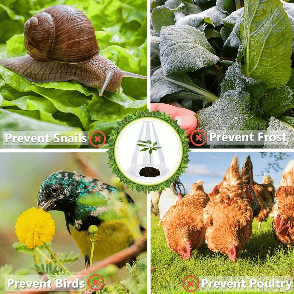 Grove Plant Cover | Reusable, Breathable Protection for Young Plants - Hartwella