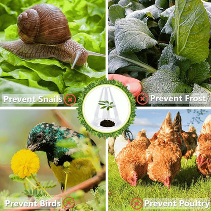 Grove Plant Cover | Reusable, Breathable Protection for Young Plants - Hartwella