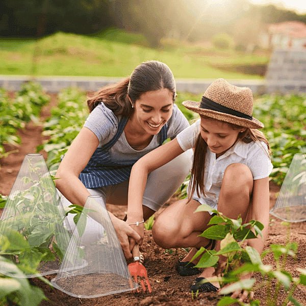 Grove Plant Cover | Reusable, Breathable Protection for Young Plants - Hartwella