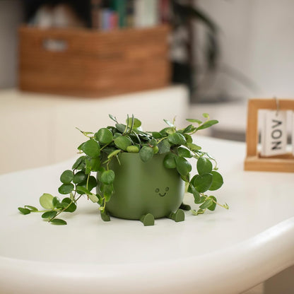 Happi Face Planter | Self-Watering, Eco-Friendly Design - Hartwella