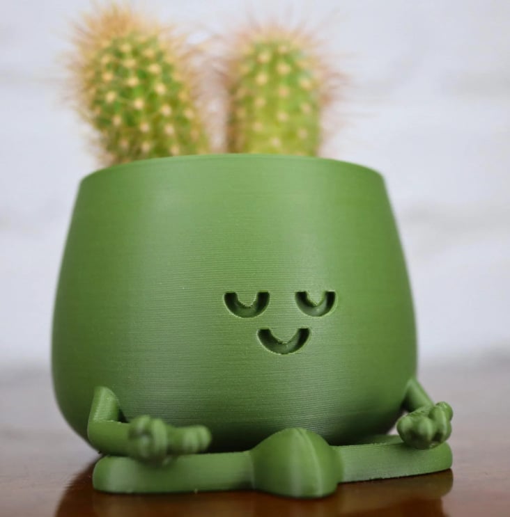 Happi Face Planter | Self-Watering, Eco-Friendly Design - Hartwella
