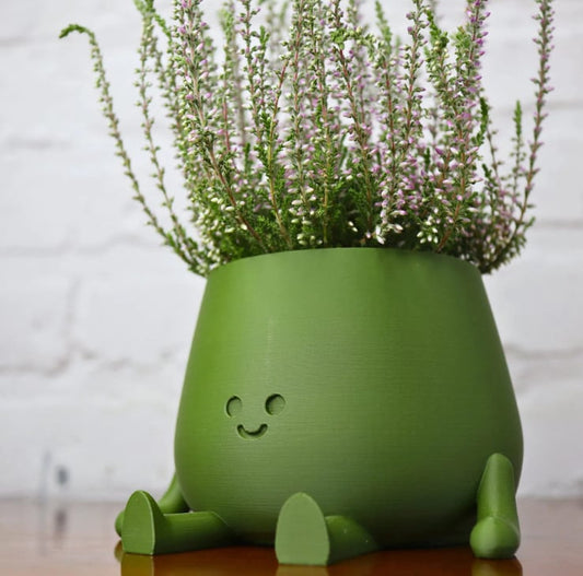 Happi Face Planter | Self-Watering, Eco-Friendly Design - Hartwella