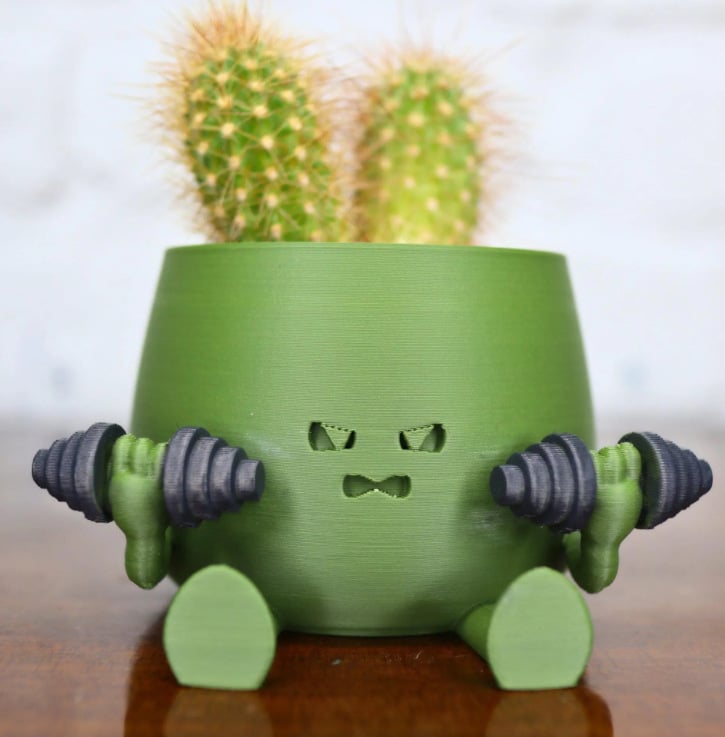 Happi Face Planter | Self-Watering, Eco-Friendly Design - Hartwella