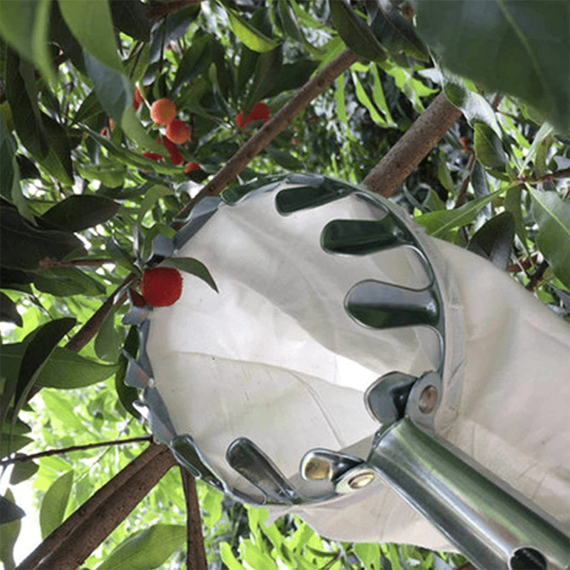 Harvo™ High-Reach Fruit Picker Basket