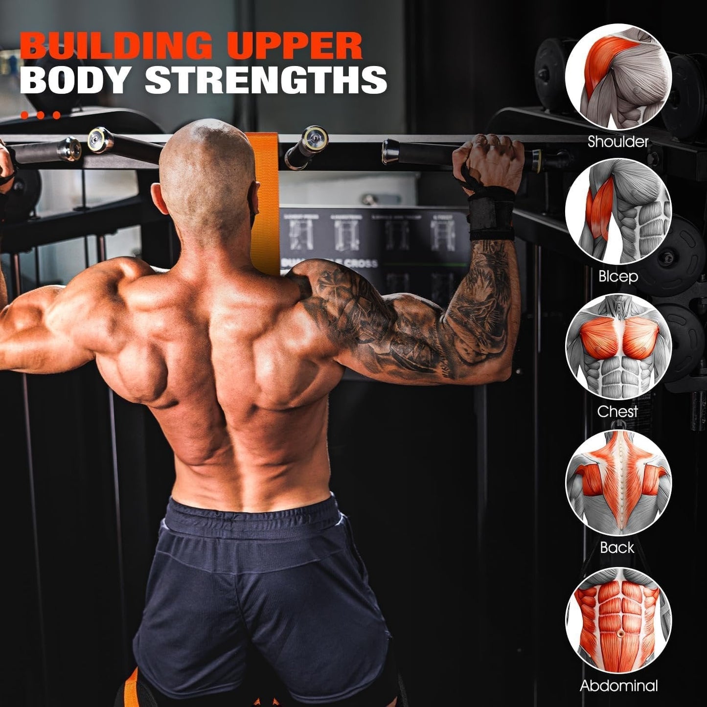 Hercules Pull Up Assist Band | Heavy - Duty, Dual - Foot Design for Assisted Pull Ups - Hartwella
