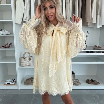 Liora Mini Dress | Lace Overlay, A-Line Summer Dress - Hartwella