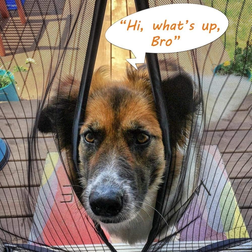 Magma Magnetic Screen Door | Hands - Free, Durable Mesh, Insect - Blocking - Hartwella