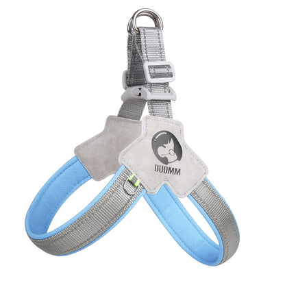 Milo Dog Vest | Breathable Mesh, Reflective Safety - Hartwella