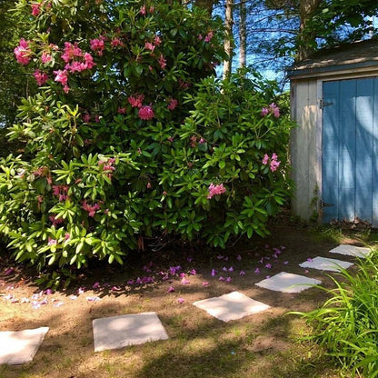 Natura Garden Stones | Durable Resin Decorative Stepping Stones for Pathways - Hartwella