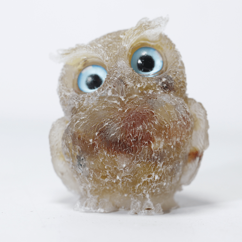 Ollie Owl Figurine | Charming Decorative Accent - Hartwella