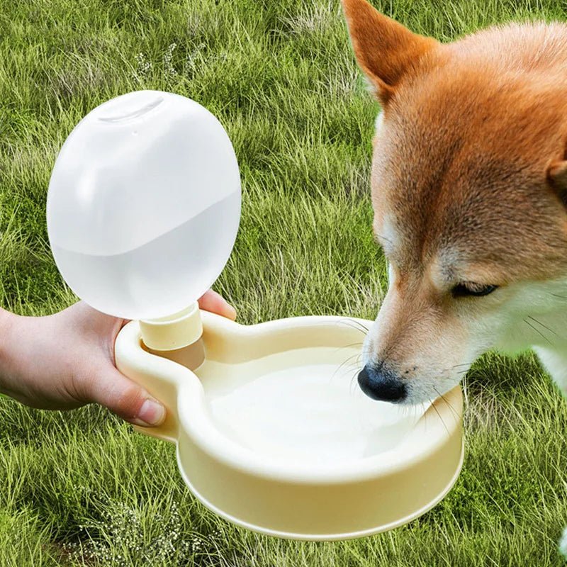 Pavo Pet Water Bowl | Collapsible Silicone, Large Capacity for Dogs and Cats - Hartwella