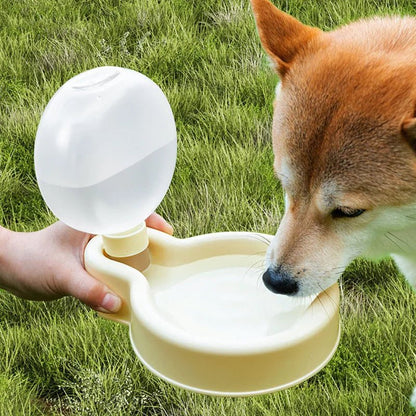 Pavo Pet Water Bowl | Collapsible Silicone, Large Capacity for Dogs and Cats - Hartwella