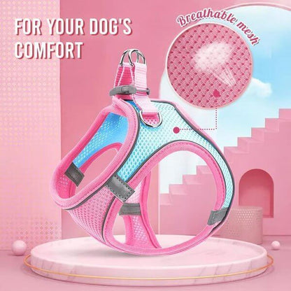 Pawfect Vest Leash | Lightweight, Breathable Design - Hartwella