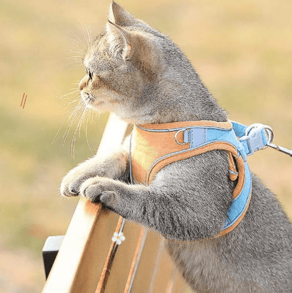 Pawfect Vest Leash | Lightweight, Breathable Design - Hartwella