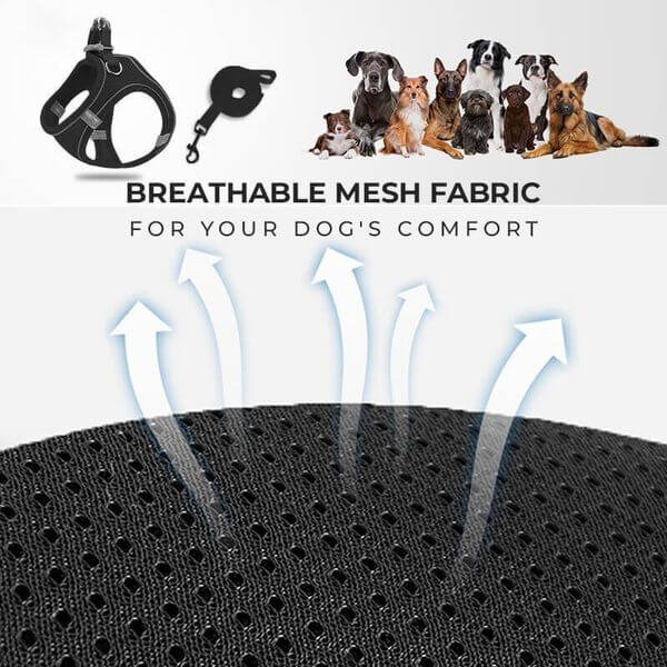 Pawfect Vest Leash | Lightweight, Breathable Design - Hartwella
