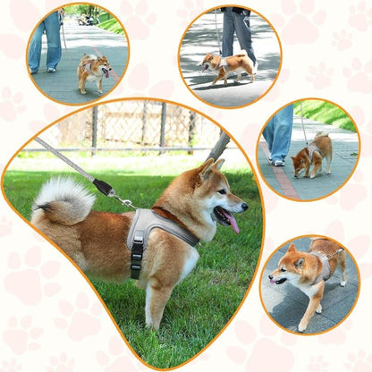 PawFlex Dog Harness | No Pull, Breathable, Adjustable for Comfort - Hartwella