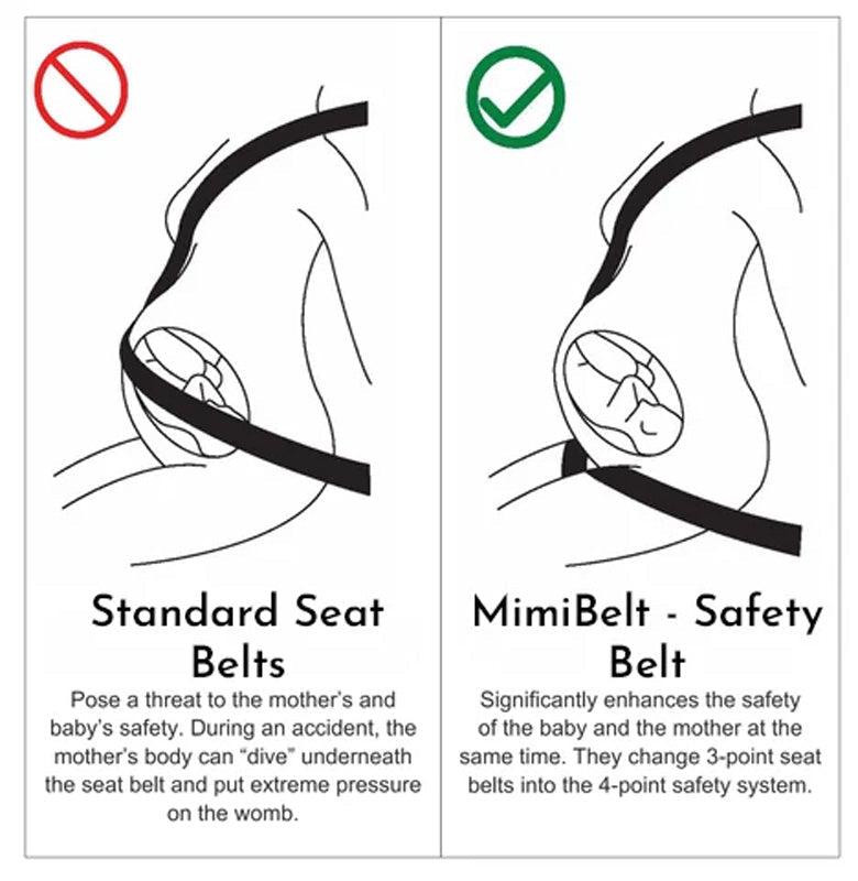 Prego Safety Belt | 3-Point Adjustable Design - Hartwella