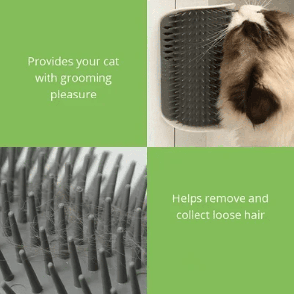 PurGroom Cat Brush | Self - Grooming, Stress Relief for Shedding - Hartwella